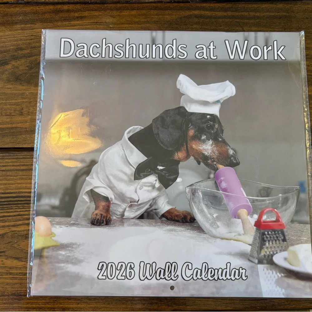 Dachshunds 2026 Wall Calendar